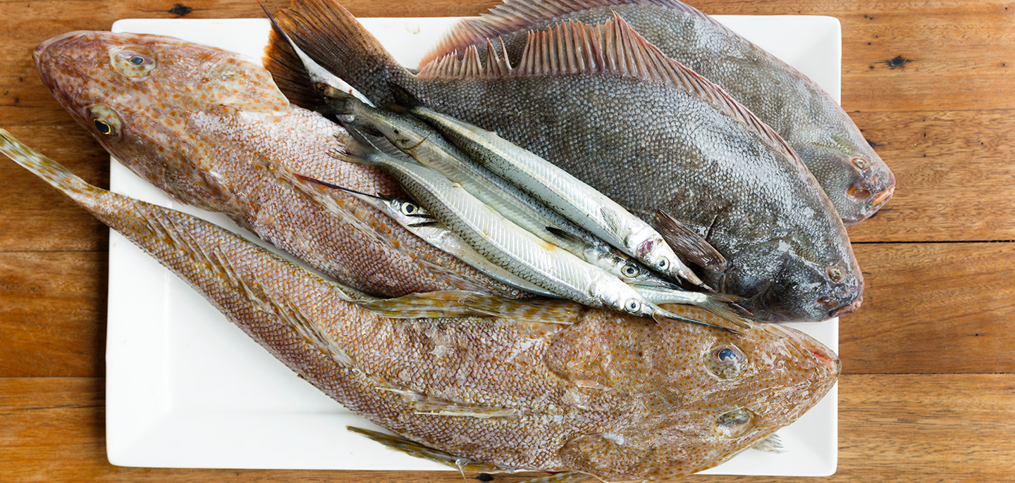 labimba-our-suppliers-fish@2x